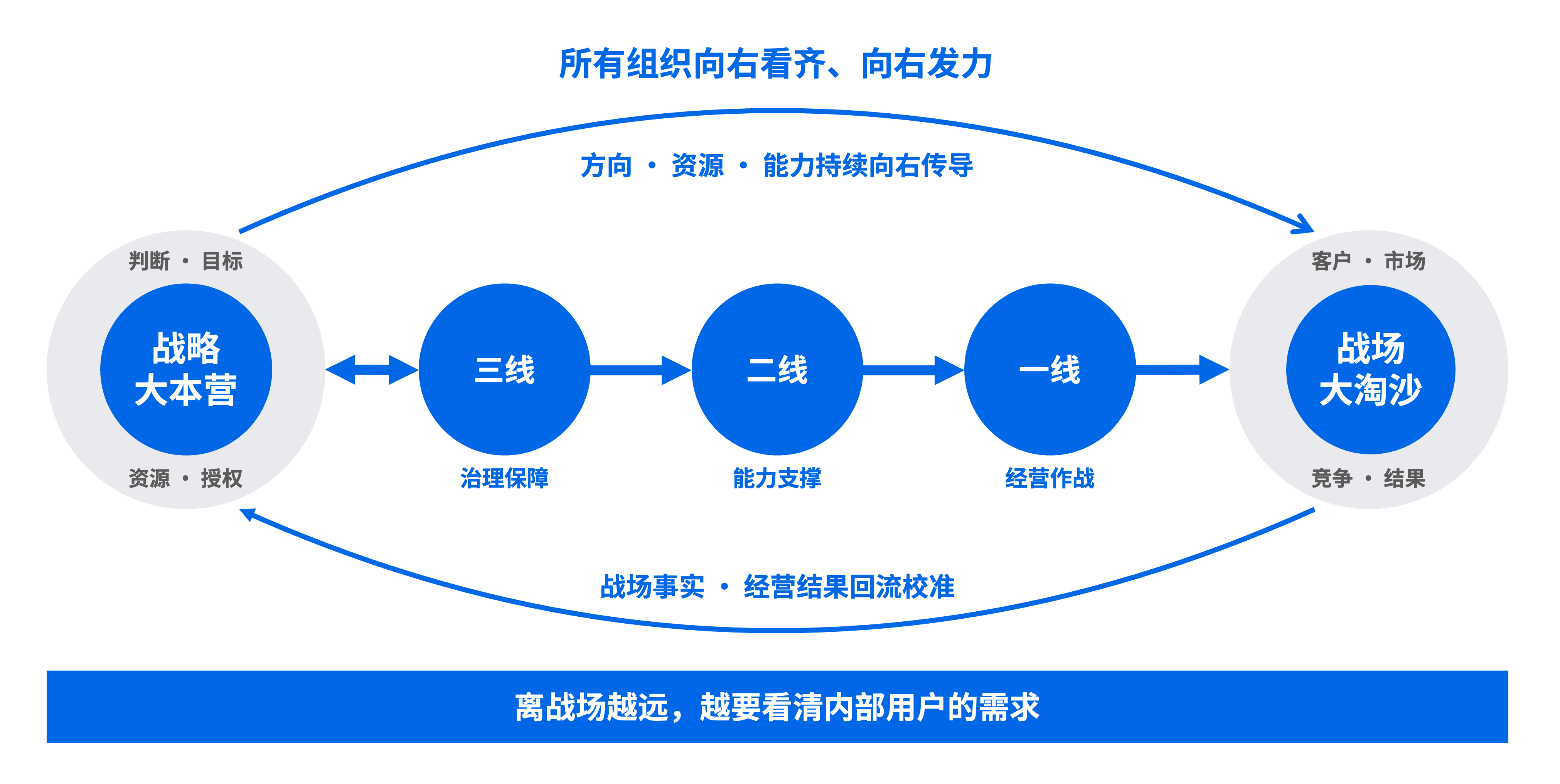组织力线对齐模型