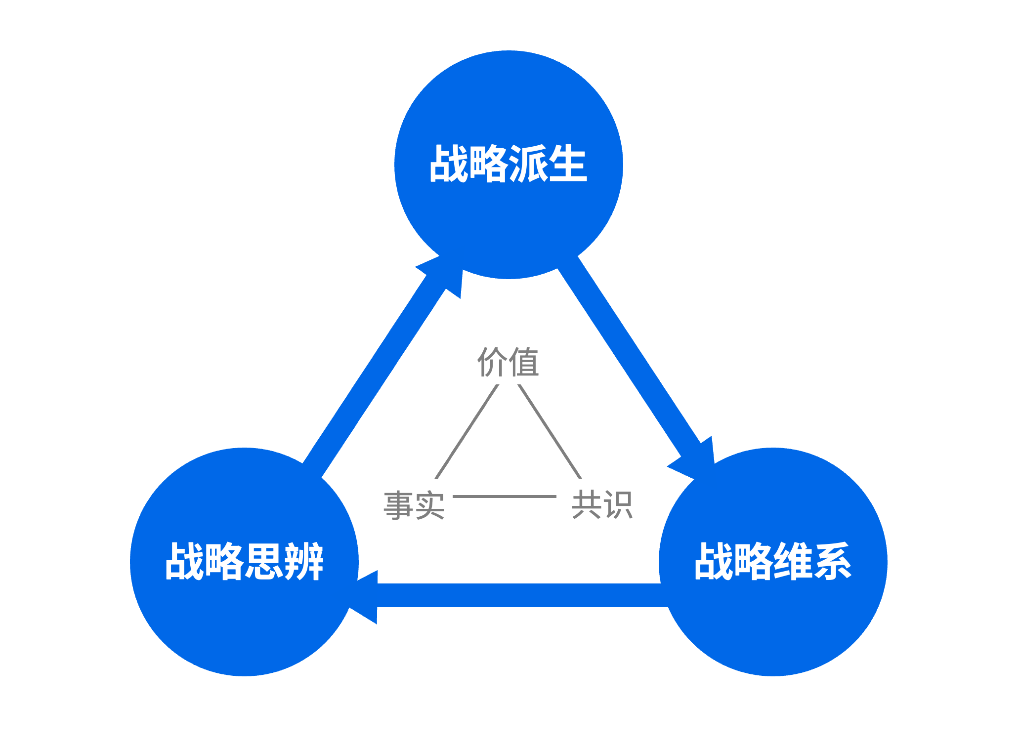 派维思战略管理三元论